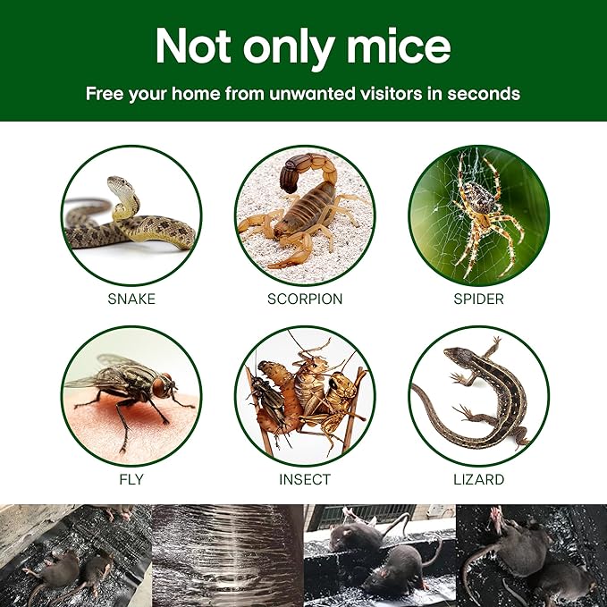 Imported Sticky Mouse & Rat Trap Sheet with Powerful Stickiness & Highly Adhesive Bond