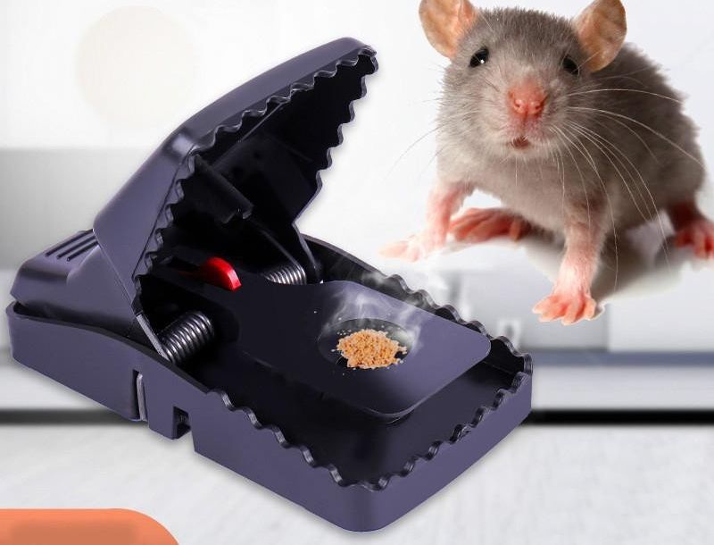 Mouse Catcher