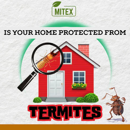 Termite Killer Spray