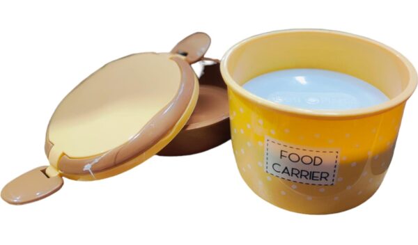 Plastic Food Career Double Layer Tiffin Lunch Box With Under Mini Steel Box for Food Storage