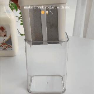 🥣 Premium Greek Yogurt Mesh Strainer + Free Thumb Cutter ✂️