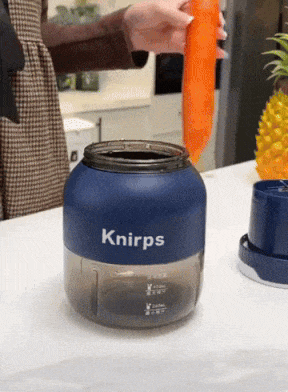 Multi-Purpose Portable Mini Juicer Blender Machine for Making Fresh Juices 800ml